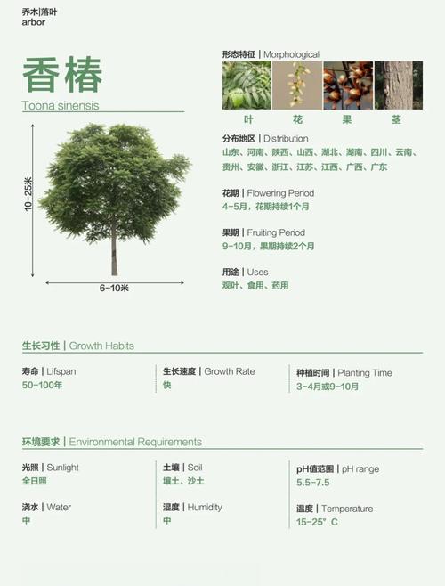 农村种植什么树木前景最好?标准化种植指南 四、栽植深度(根茎平齐)