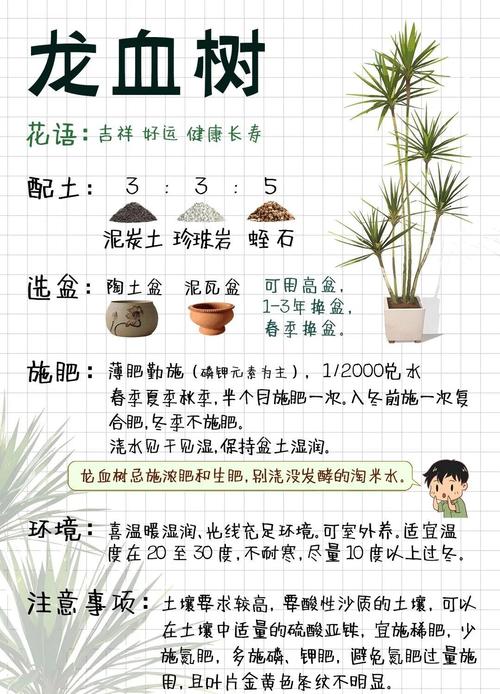 农村种植什么树木前景最好?标准化种植指南 七、成活注意事项(早排查)