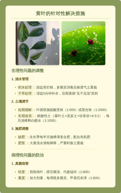 栀子花叶子变黄怎么办?原因分析与拯救指南 六、病虫害侵袭