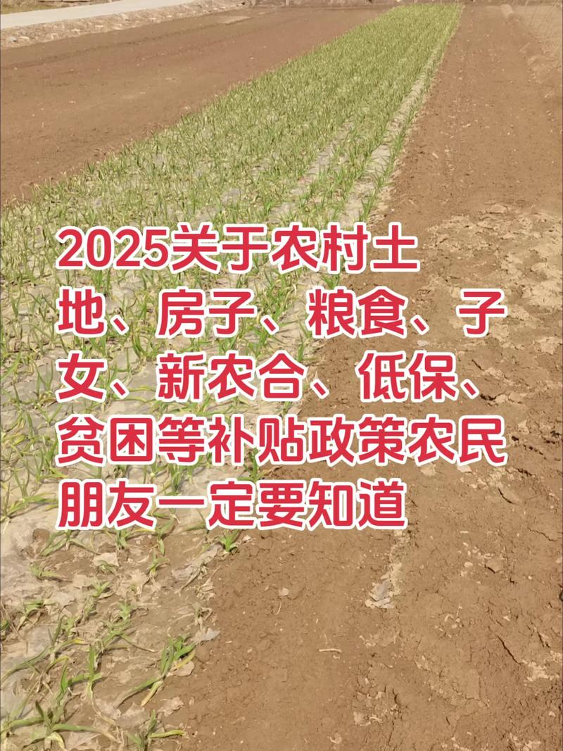 新农人必看:2024-2025年农业种植补贴政策与实操指南 二、申请前期准备(土壤环境:申报材料)