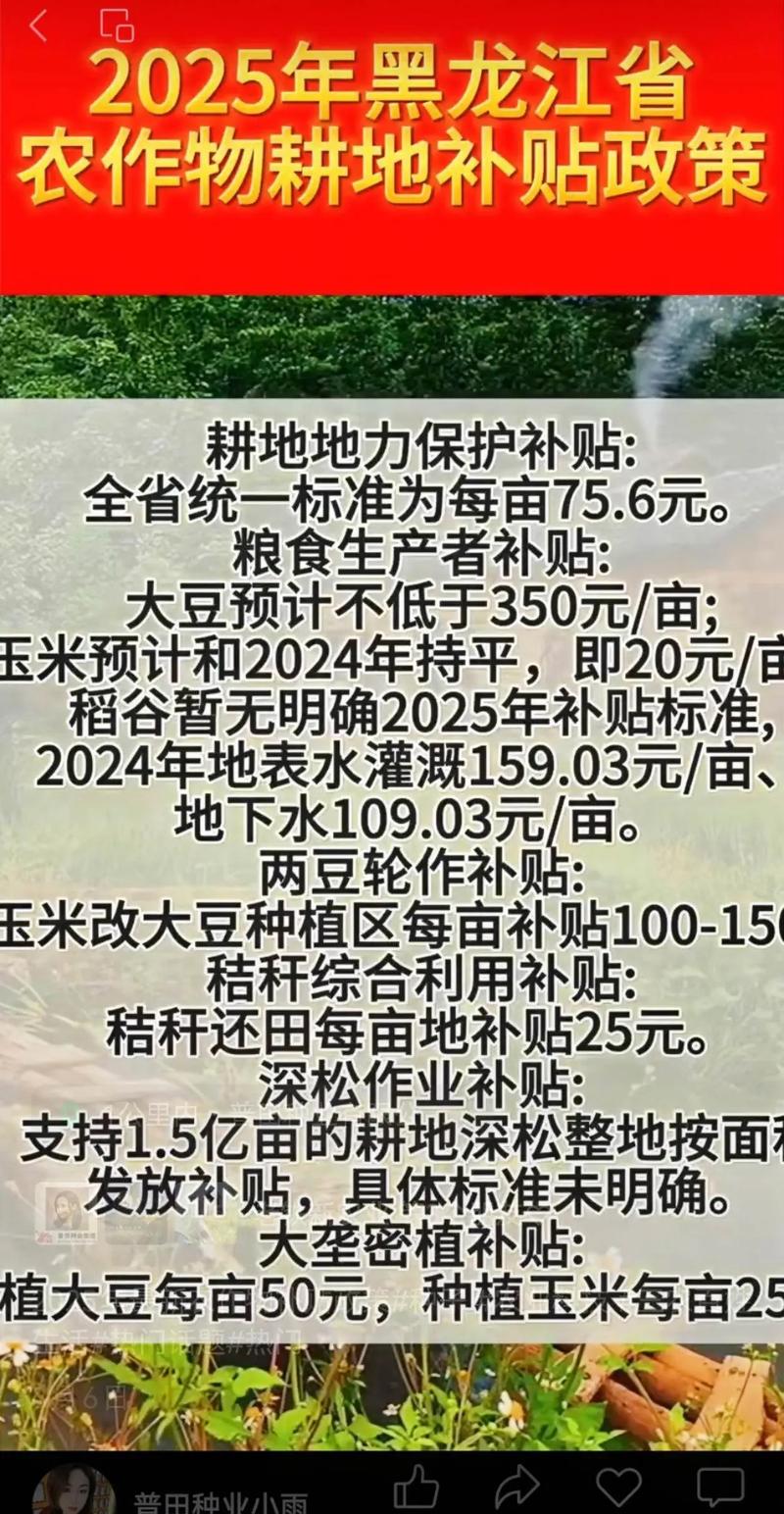 新农人必看:2024-2025年农业种植补贴政策与实操指南 六、后续管理(缓苗管理:钱到手后)