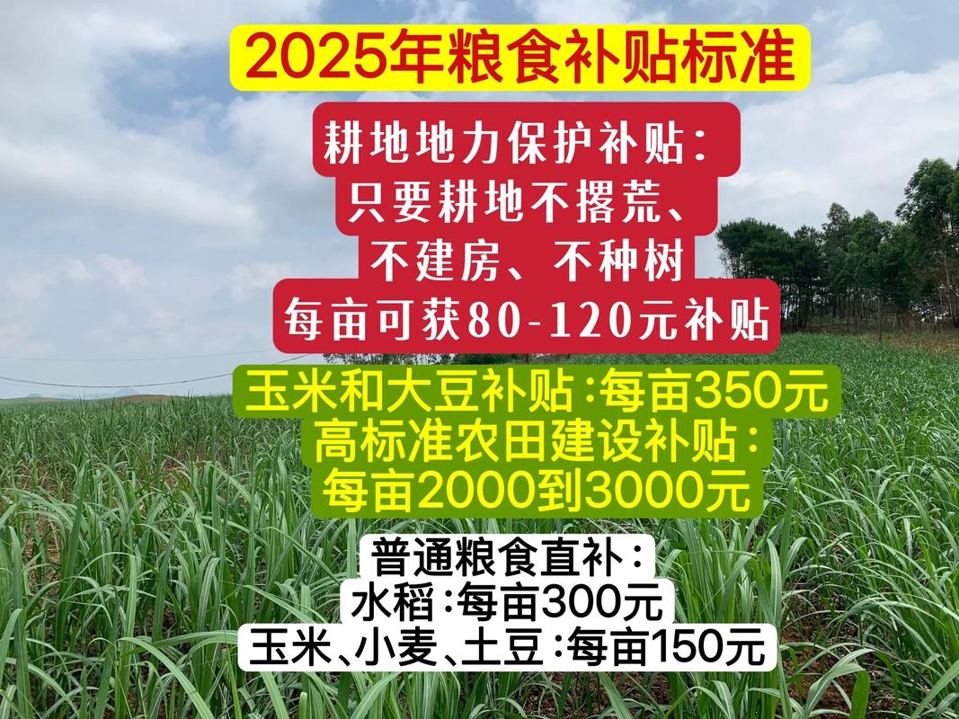 新农人必看:2024-2025年农业种植补贴政策与实操指南 七、成活注意事项(常见问题与对策)