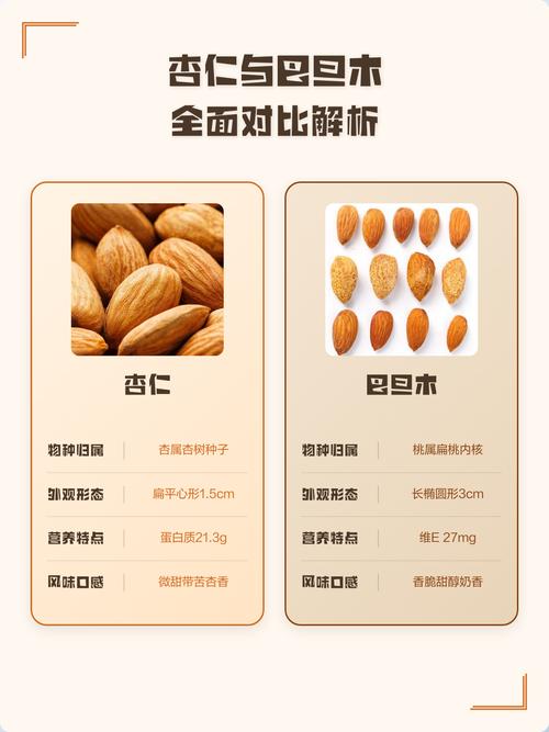 巴旦木和杏仁有什么区别?营养、产地与食用指南全解析 3. 场景化选择建议