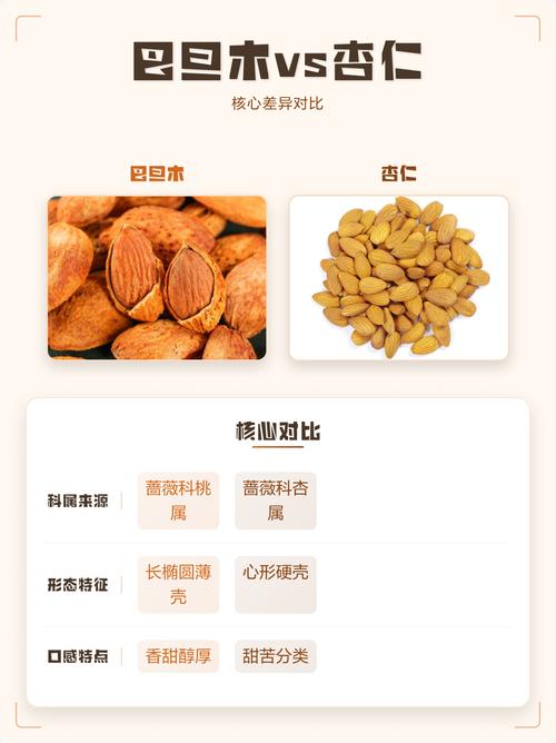 巴旦木和杏仁有什么区别?营养、产地与食用指南全解析 5. 常见问题 (FAQ)