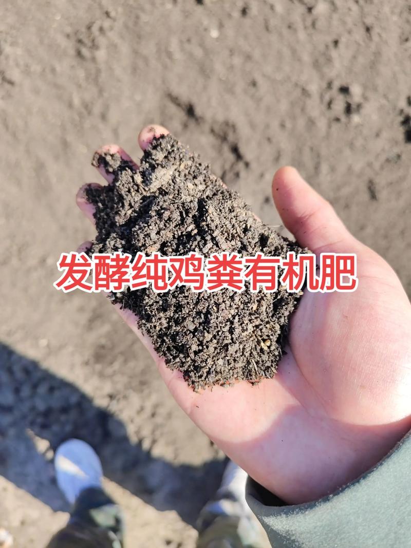 鸡粪如何发酵成有机肥:从堆料到腐熟的完整指南 四、注意事项与常见问题