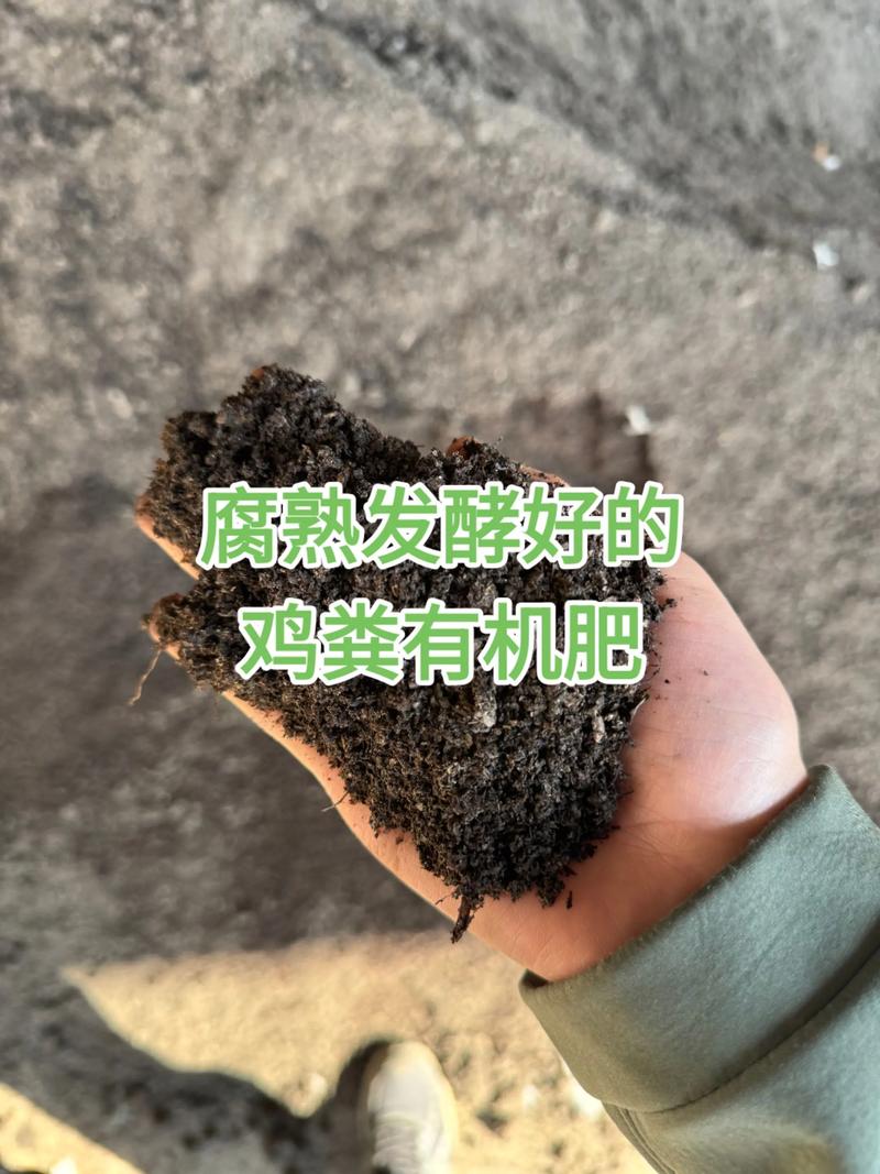鸡粪如何发酵成有机肥:从堆料到腐熟的完整指南 三、发酵步骤:堆制与翻堆