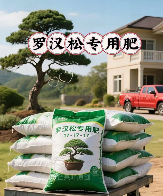 家庭松树养护全攻略：最佳肥料选择与科学管理指南