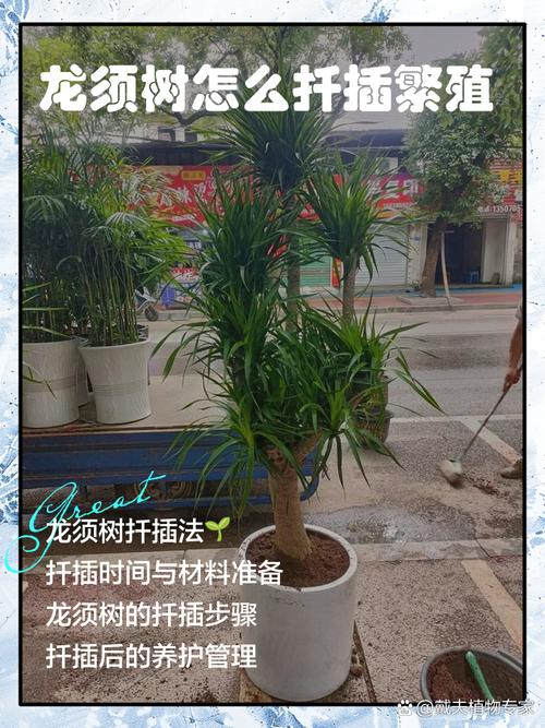 三、介质选择：别用园土，用它！