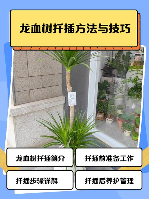 常见失败原因与对策