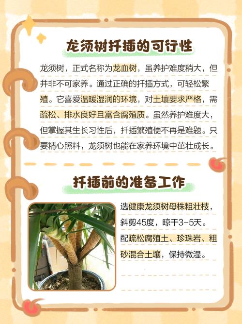 六、什么时候算成活？生根后怎么移栽？