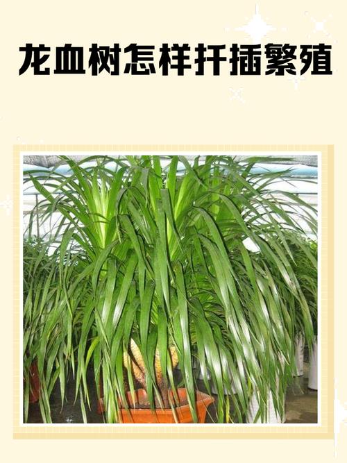 总结