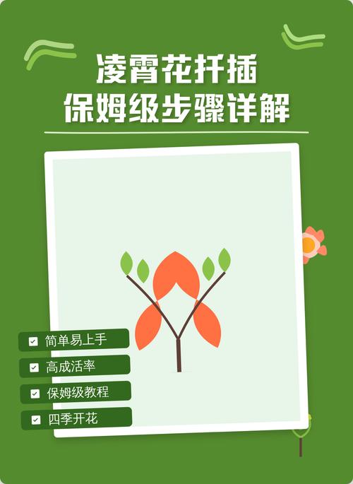 非洲凌霄花可以扦插吗?保姆级繁殖育苗技术指南 FAQ
