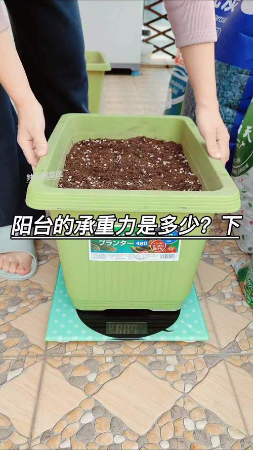 阳台种植土壤怎么配?手把手教你调配出万能营养土 二、基础配方:通用型营养土(适用于80%阳台花卉和叶菜)