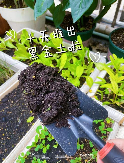 阳台种植土壤怎么配?手把手教你调配出万能营养土 四、配土后的关键一步:消毒与装盆
