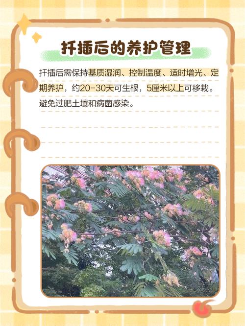 合欢树什么时候扦插?最佳时间、基质配比与生根管理全解析 FAQ