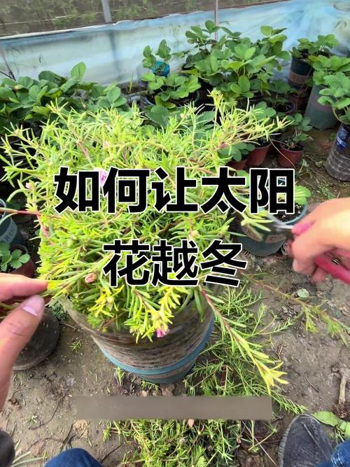 总结与行动清单