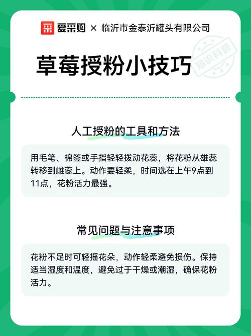 草莓是自花授粉吗?一文读懂草莓的授粉机制与增产技巧 总结