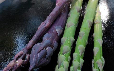 芦笋是多年生植物吗？揭秘芦笋的栽培与园艺价值