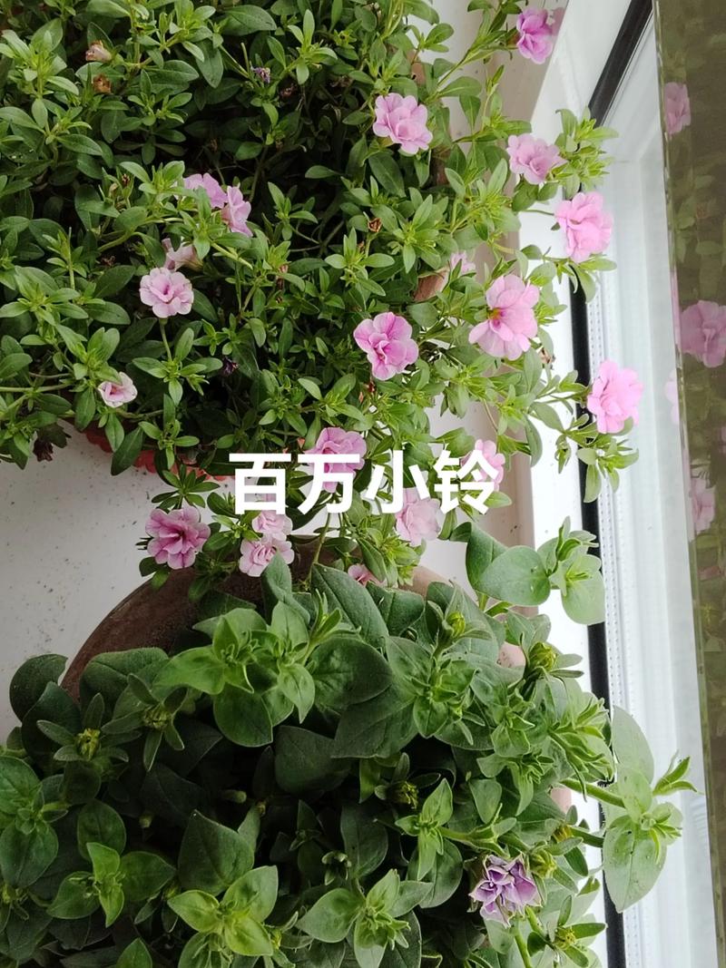 五、避坑提示