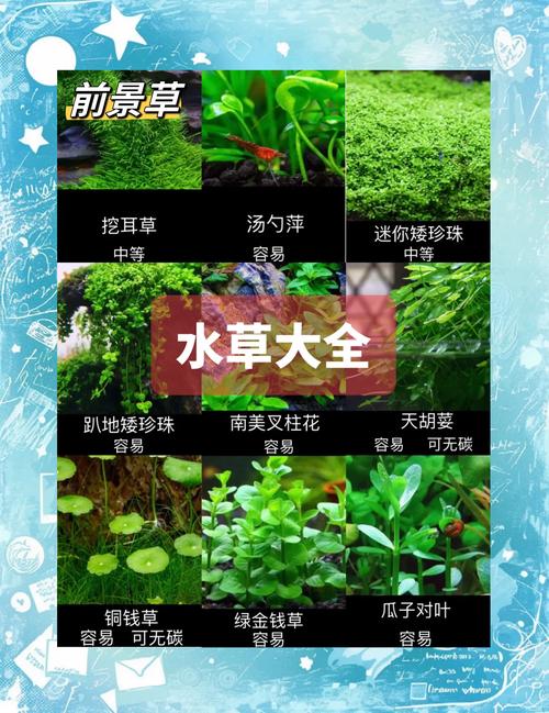 种植条件与参数详解