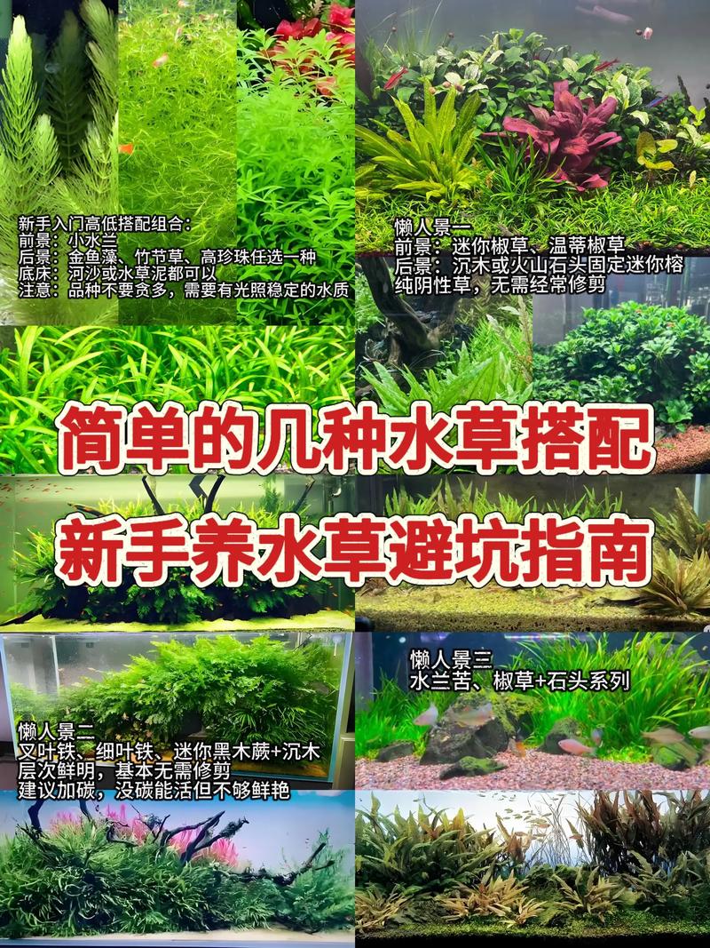 南北方越冬管理差异