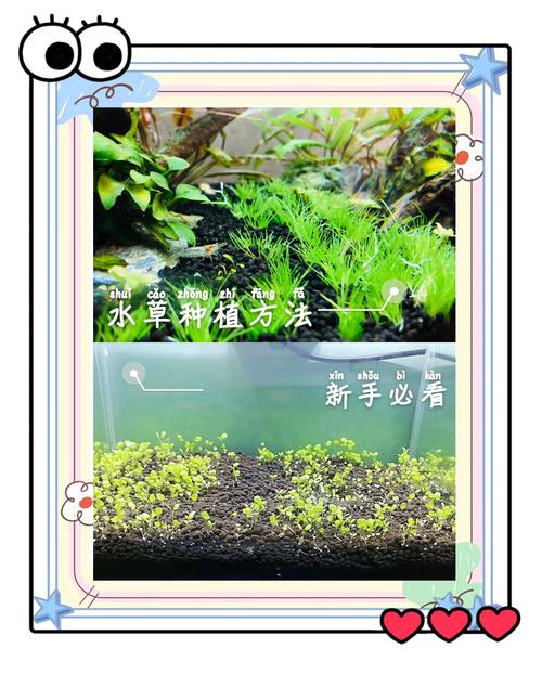 问答精选