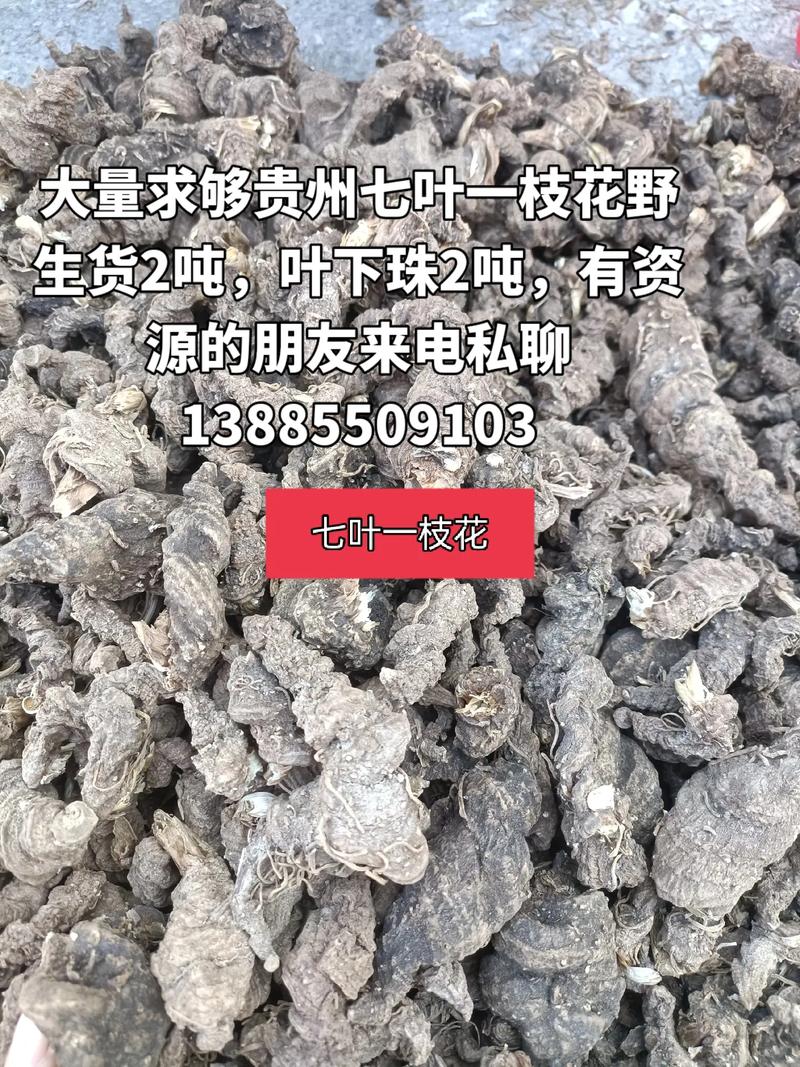 因素二：产地（区域价差显著）