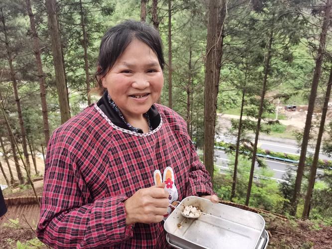 老虎姜种苗多少钱一斤?价格快速参考与影响因素分析 影响因素五:运输成本与距离