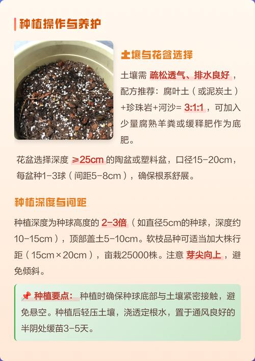 五、浇定根水：第一次水决定活不活