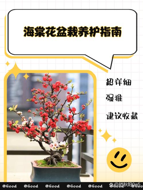 家里种海棠好吗?科学养护指南 常见问题(FAQ)