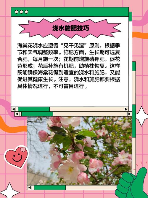 家里种海棠好吗?科学养护指南 总结