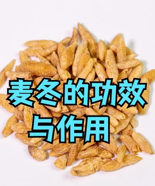 野生麦冬功能与作用：药食同源的常识性介绍与安全指南