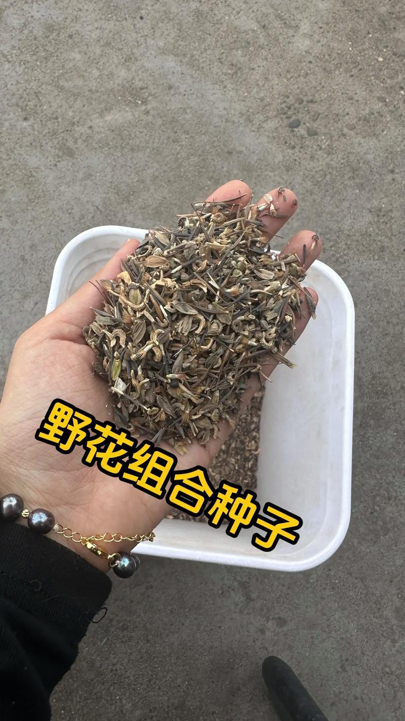 野花组合种子怎么种?一文看懂从播种到开花的全套操作流程 一、适宜播种时间