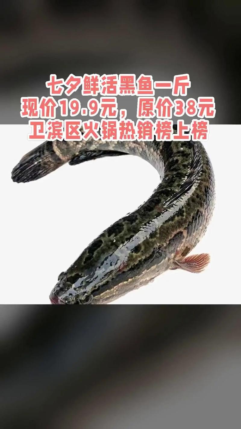 价格快速参考