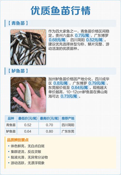 咨询指南