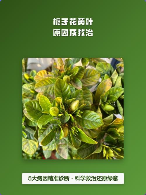 总结：对症下药，快速恢复
