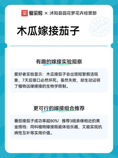 四、成活率影响因素分析与差异放大