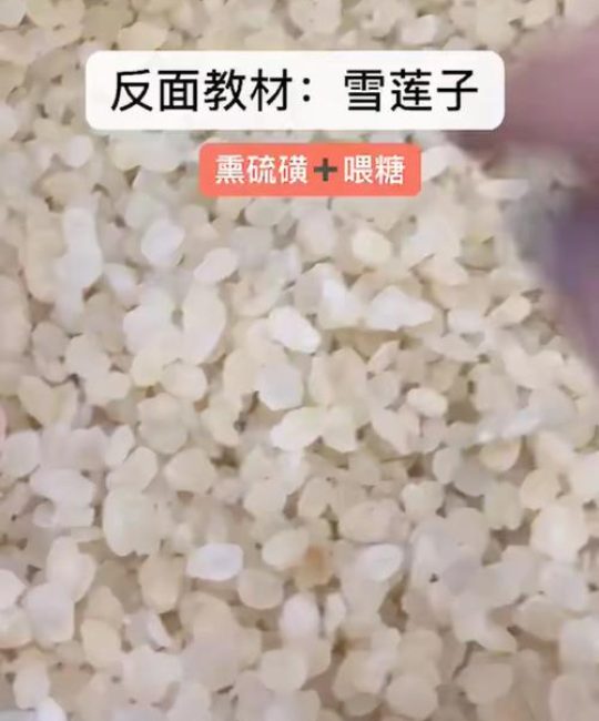 雪莲子是皂角米吗？深度解析两者的区别与联系