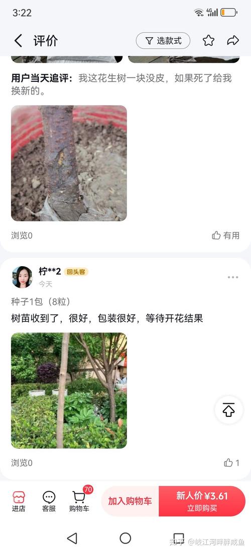 花卉种子采购渠道科学评估指南——如何避开假种子与劣质渠道 五、售后保障条款审核:拒绝模糊承诺