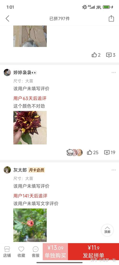 花卉种子采购渠道科学评估指南——如何避开假种子与劣质渠道 六、综合评估与结论