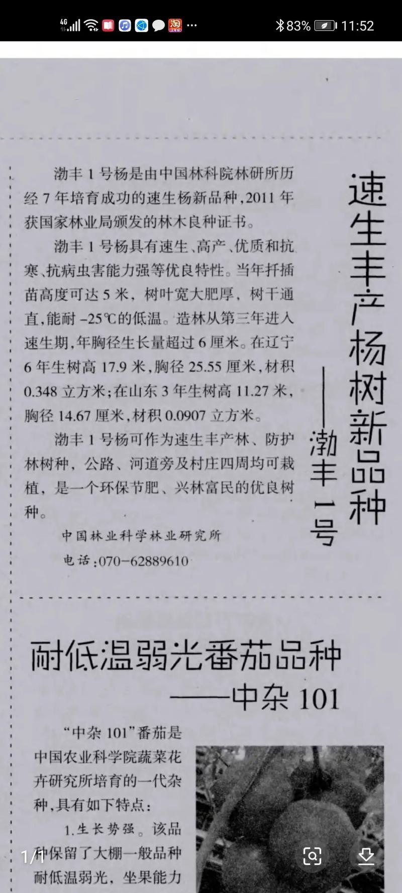 白杨树价格多少钱一吨?2024年最新市场报价与影响因素全解析 影响因素5:运输(物流成本占比)
