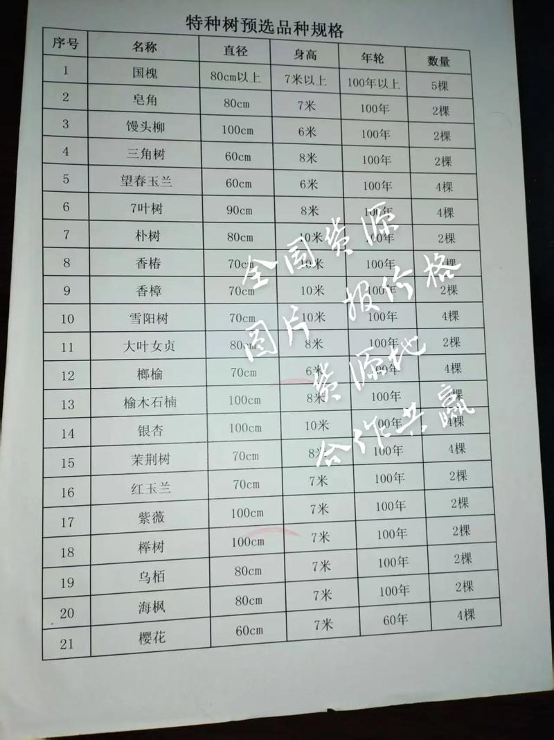白杨树价格多少钱一吨?2024年最新市场报价与影响因素全解析 咨询指南:如何获得精准报价?