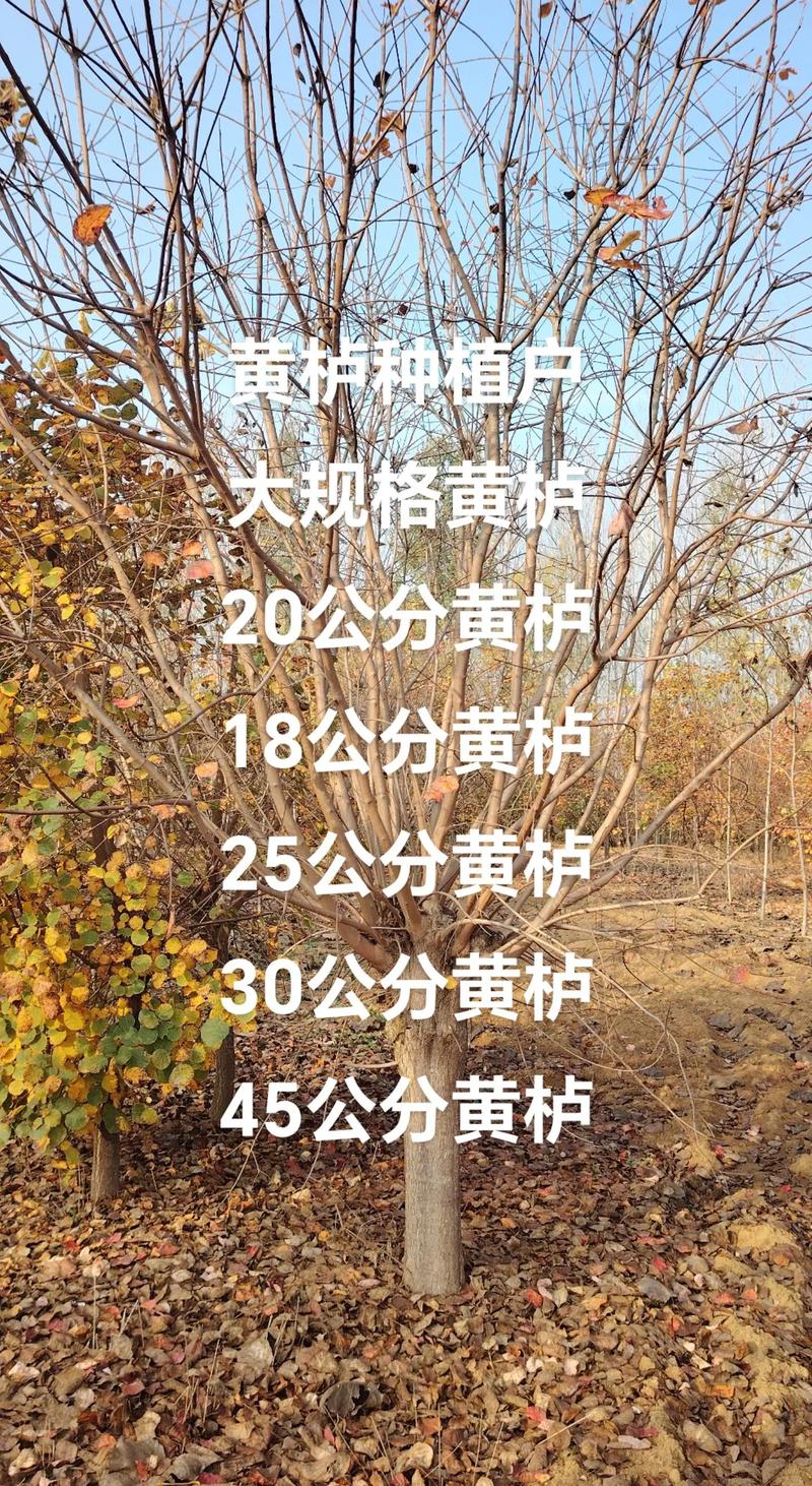 数量：批发价直降30%–50%