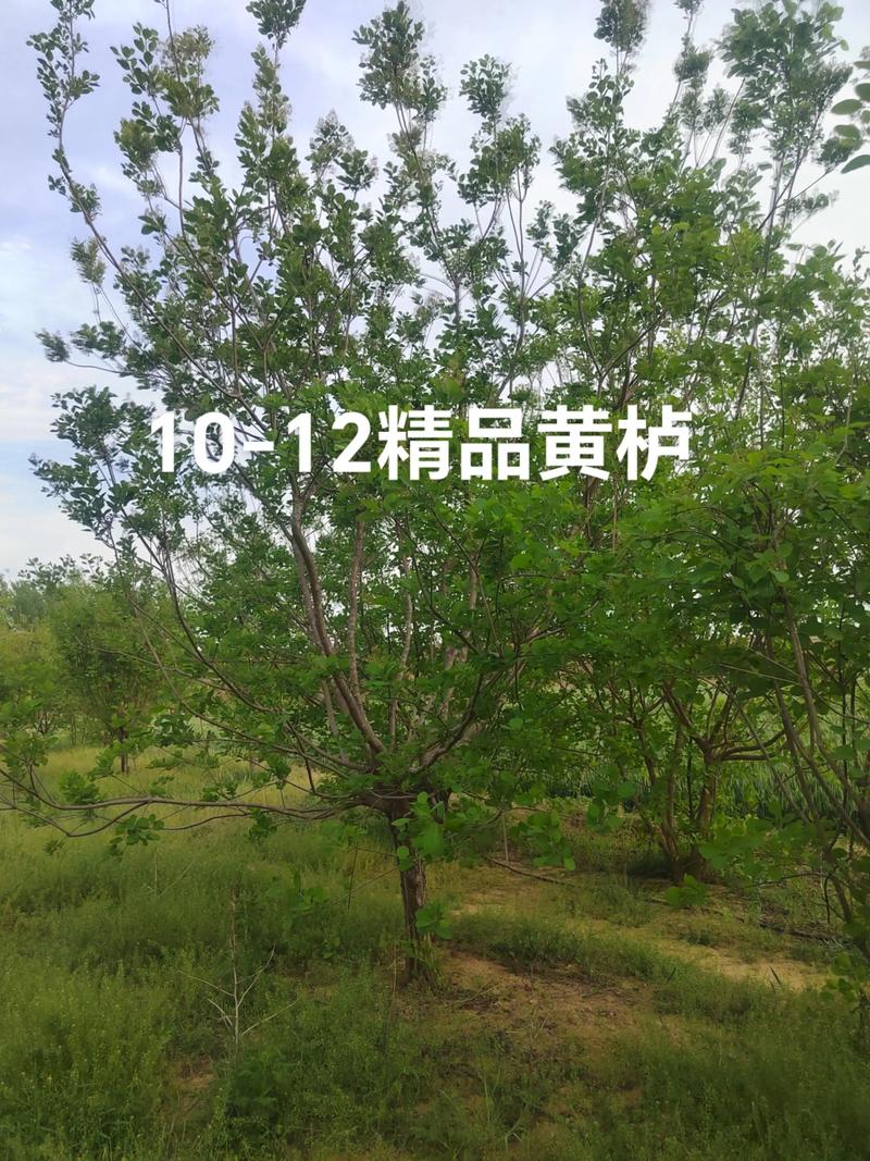 运输：物流成本占10%–30%，距离越远越贵