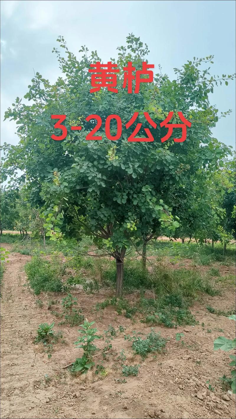 综合价格参考表（2024年）