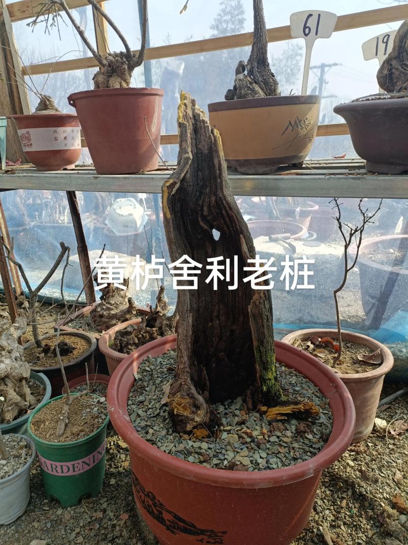 常见问题FAQ
