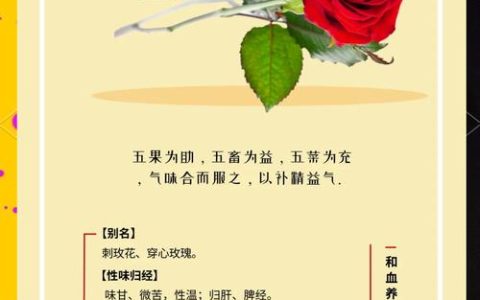 玫瑰花是什么作用？从食用到养生，一文说清功效与禁忌
