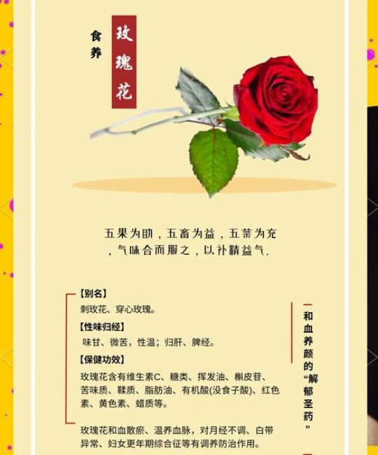 玫瑰花是什么作用？从食用到养生，一文说清功效与禁忌