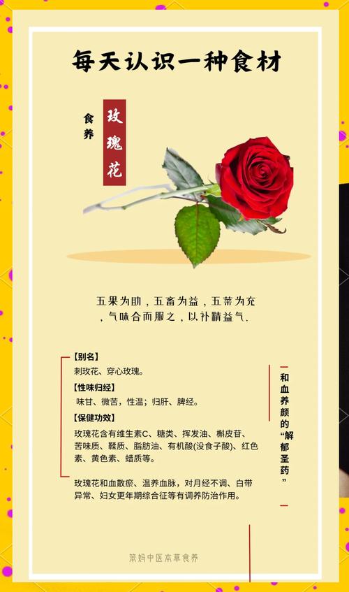 玫瑰花是什么作用？从食用到养生，一文说清功效与禁忌