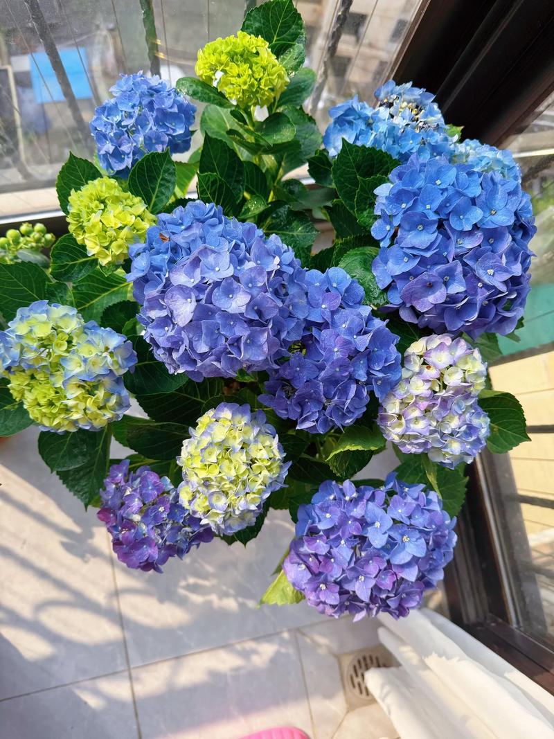 越冬与越夏管理